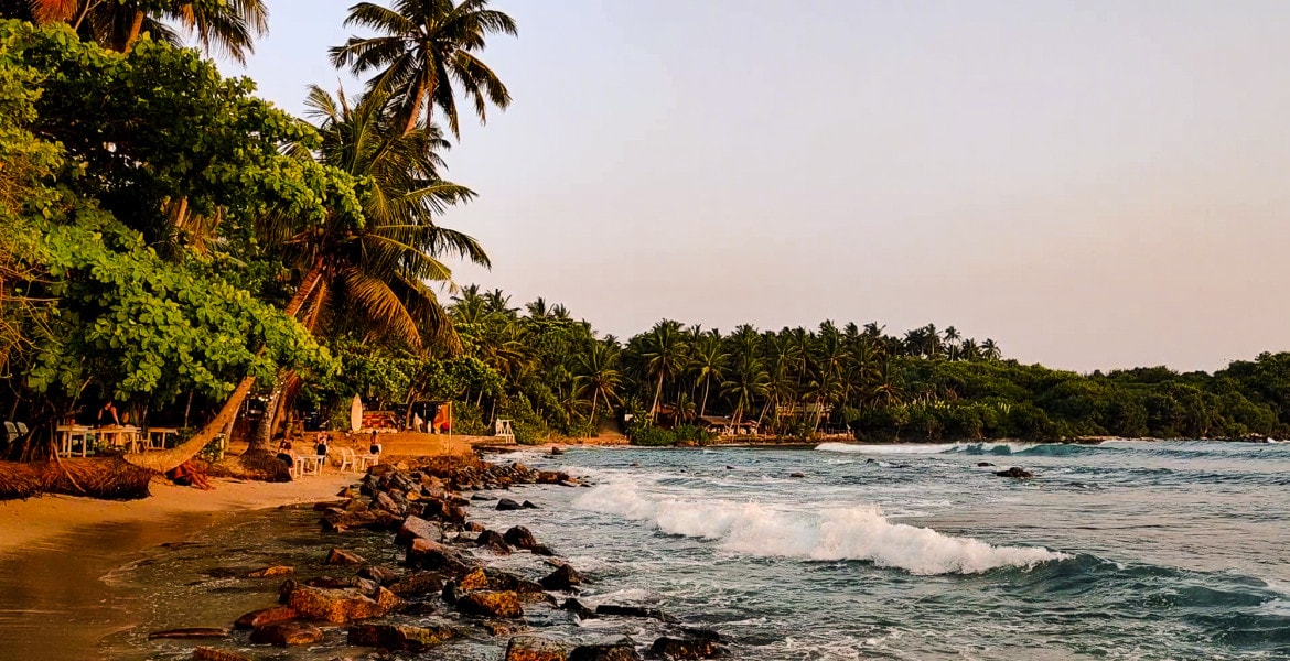 Pink sunset at the beach of Hiriketiya in Sri Lanka, with palm trees lining the shore and waves hitting the stones on the beach.