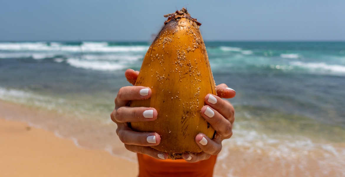 Yellow coconut held by a girl with the beach and ocean in the background in Unawatuna in Sri Lanka