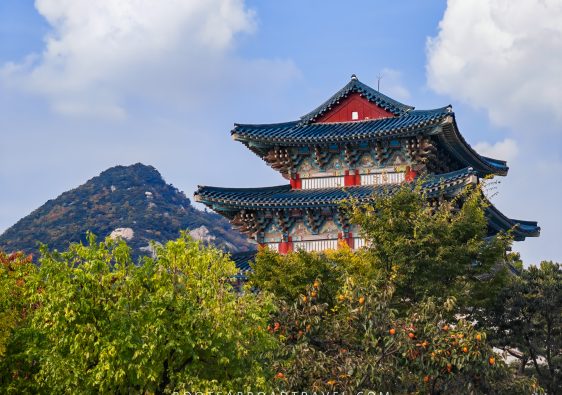 Joseon dynasty architecture at Gyeongbokgung Palace with Seoul's mountains in the background